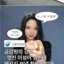 금융감독원 : 멋진 이성이 당신에게 메시지 전송은 100퍼 사기 이미지
