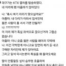 KTX 입석빌런썰.jpg 이미지