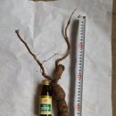 여량면 고양로 강원 Daum카페