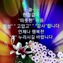 🍒 '개소리' (Bullshit) 🍒 이미지