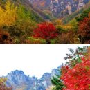 삼례 문화예술촌 이미지