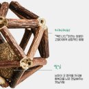 [고양이용품] 마따따비 삼각볼 2종 세트 _ 으악! 애옹이가 먹었어요!