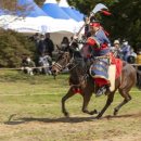 당진 마보무예이십사기 이미지