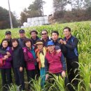 입실2리 본동 이미지