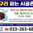 백두건강원 - 성남시 수정구 수정로 253 | 백두건강원