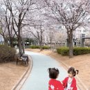 경서동 쑥공원 이미지