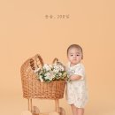 이름꽃사진관배곧점 이미지