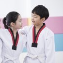 고려체대태권도 이미지