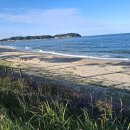 대진시외버스터미널 이미지