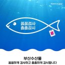부산수산물 미디어투데이