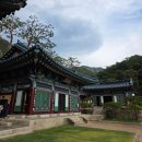 은평구 가볼만한 곳 진관사, 조용하게 걷기 좋은 산책 코스 주차장 셔틀버스 정보
