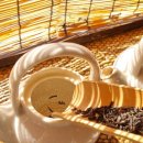 해옥 | 경남 통영카페 해옥 일본식 고택에서 맛보는 차와 디저트 조합