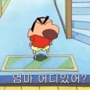 맥스 소프트 이미지