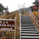 돼지가왔소 이미지