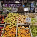 카타니아 슈퍼마켓 Maxistore Decò 방문 후기 | 시칠리아 특산품, 쇼핑리스트