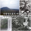 제주도 4.3 사건 위령제 무서워 못가는 대통령 - 제주총선여론 ...? 이미지