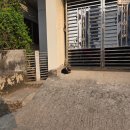 재윤농장 | [프봉4기 방글라데시🇧🇩] ep.6 쿨나TTC 문화 수업 엿보기 👀