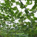 봉정경로당 이미지