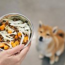 지수동물병원 이미지