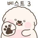 만천하스카이워크 알파인코스터 이미지