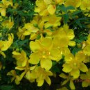 모스가든 이미지