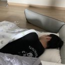 송레코드 이미지