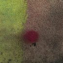 색채와흔적 이미지