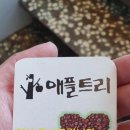 루나트리카페 이미지