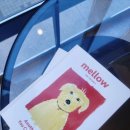 동구종합동물병원 이미지