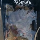 그린낚시 이미지