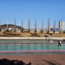 삼산체육공원 이미지