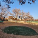 무태파크골프장 이미지