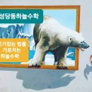통큰딱따구리문구