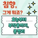 시대오일센타 | 침향이란? 효능부터 부작용까지 완벽 정리!