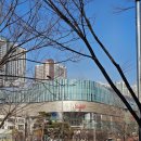 장안하늘채근린공원 CCTV | 핫플 수원 스타필드 주차 꿀팁 평일 후기 (네이버지도CCTV, 공홈)