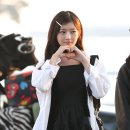 레이 이미지
