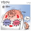 'Netizen 시사만평(時事漫評)떡메' '2024. 12. 07'(토) 이미지