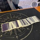 비전로 | [경기 평택] 신내림 받은 선생님께 본 영타로 솔직 후기 평택점집 소울타로 (feat. 강아지 속마음 타로)