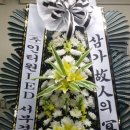 새롬애드 이미지