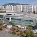 대구파호초등학교 이미지