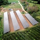 회복 태양광발전소 이미지