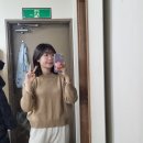집을 잠시 잃었던 시골쥐의 일상