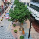 40계단문화관광테마거리 이미지