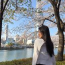 뒷나루길 | 잠실 석촌호수 2026 벚꽃 축제 주말 방문 후기(기간, 개화, 포토스팟, 관람 꿀팁 등)