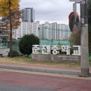 대룡중학교 | [후기로그]251108 정보처리기사 실기 3회차 삼수 후기(퐄킹 자바,C(언어)발)