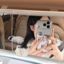 세븐일레븐 일산마두힐링점 | 마두역미용실 프리미엄이가자 일산차병원점 데미두피클리닉 받아본후기