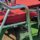 국악앙상블 ‘목단구름 콘서트’ | 일기 2024.03