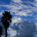 중문통나무휴양펜션 이미지