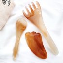 바디페이스 이미지