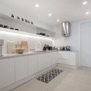 팔레드시즈 이미지